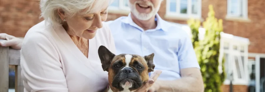 Leveraging Mortgage Note Investing in Self-Directed IRAs and Retirement Accounts.